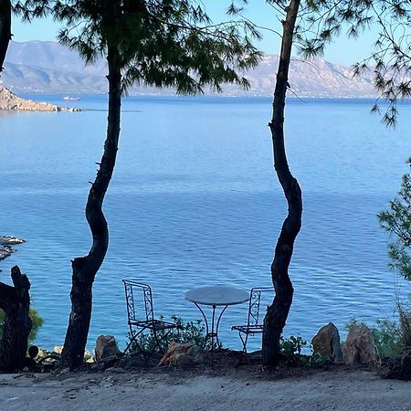 Kiefern&Meer Sofiko Buitenkant foto