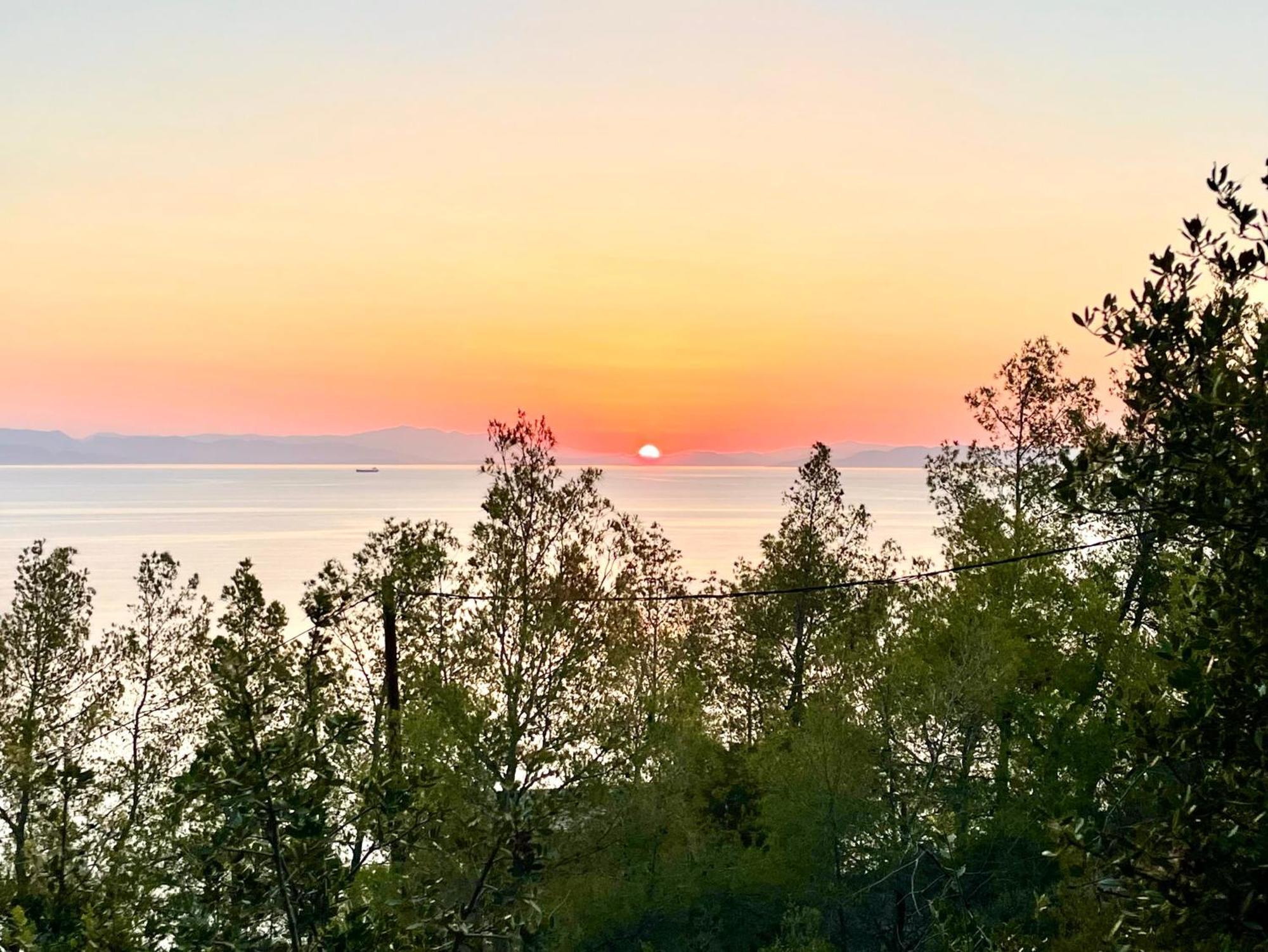 Kiefern&Meer Sofiko Buitenkant foto